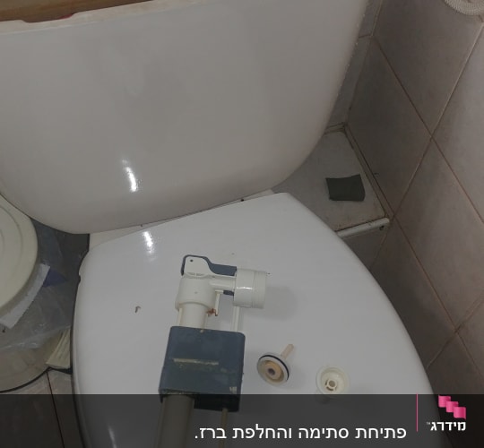 חלקי אסלה מונחים על מכסה האסלה